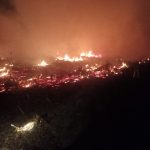 Lahan Seluas 2 Petak di Desa Bikang Terbakar Imbas Musim Kemarau