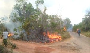 Masyarakat Basel Diimbau Jangan Main Api di Area Hutlah