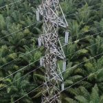 PLN Gerak Cepat Pulihkan Ganguan Petir pada Jaringan Transmisi SUTT di Belitung