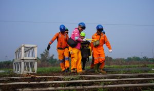 Dampak Tower Roboh, PLN Babel Terjunkan Ratusan Petugas Perbaiki listrik di Pulau Bangka