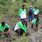 Tanam Pohon Mangrove, Bukti PT Timah Berkomitmen Melestarikan Lingkungan