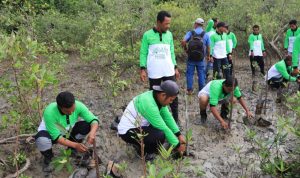 Tanam Pohon Mangrove, Bukti PT Timah Berkomitmen Melestarikan Lingkungan