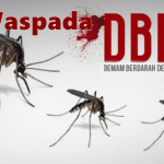 Waspada!! Kasus DBD Mulai Menampakan Diri di Bangka Selatan