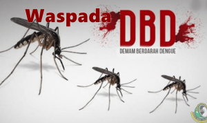 Waspada!! Kasus DBD Mulai Menampakan Diri di Bangka Selatan