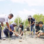 PT Timah Tbk Terus Konsisten Tanam Pohon di Lahan Bekas Tambang