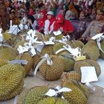 Pesta Makan Durian di Desa Nangka Potensi Tingkatkan Nilai Ekonomi Masyarakat