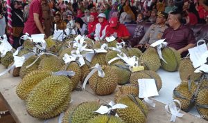 Pesta Makan Durian di Desa Nangka Potensi Tingkatkan Nilai Ekonomi Masyarakat