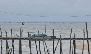 Waduh!! Ratusan PIP Ilegal “Obok-Obok” Perairan Laut Desa Rajik