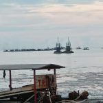 Tanpa Pegang SPK, Ratusan PIP dan TI Upin-Ipin Masih Tancap Gas Maling Timah di Laut Sukadamai