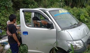 Kecelakaan Tunggal, Mobil Daihatsu Gran Max Nyungsep ke Semak Belukar