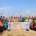 Cegah Abrasi, PT Timah Tanam Pohon Cemara Laut di Pantai Batu Kucing