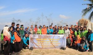 Cegah Abrasi, PT Timah Tanam Pohon Cemara Laut di Pantai Batu Kucing