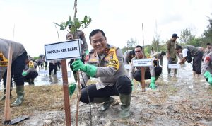 Polda Babel Tanam 1.300 Pohon Mangrove