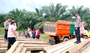 Polsek Payung Amankan Ratusan Kayu Ilegal di Area Perkebunan Kelapa Sawit PT BSSP