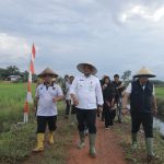 Subsidi Pupuk Naik, Begini Kata Pj Gubernur Babel 