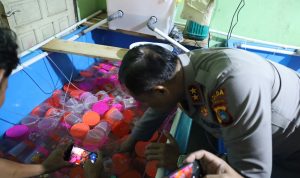 Penyelundupan Ratusan Ribu Benih Lobster senilai 35 Milyar Berhasil Digagalkan