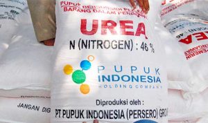 Gapoktan Desa Batu Betumpang Diduga Jual Pupuk ke Desa Lain dan Lampaui Harga HET