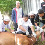 Plh Pj Gubernur Babel Sembelih Langsung Hewan Kurban