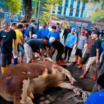 Idul Adha Berbagi, PLN Distribusikan Daging Kurban ke Seluruh Indonesia