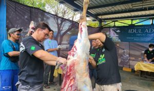 Momen Idul Adha 1445H, Pegawai PLN Babel Salurkan 1300 paket Daging Hewan Kurban