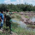 Babinsa Bersama Gapoktan Desa Kepoh Cek Kondisi Sawah dan Saluran Irigasi yang Bermasalah