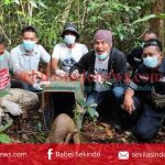 PT Timah Bersama Alobi Foundation Lepasliarkan Dua Satwa ke Hutan Konservasi Bangka Barat