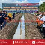 PT Timah Dukung Kelompok Tani di Belitung Timur Tanam Bawang Merah 