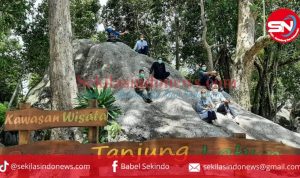 Pantai Tanjung Labun Masuk Nominasi 3 Besar di Ajang Lomba Wana Lestari