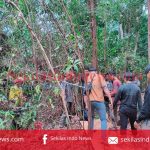 Pelaku Penebangan Liar Kawasan Tahura Bukit Menumbing Diamankan Sat Reskrim Polres Babar