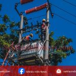 Setor Dividen Rp3,09 Triliun, Kementerian BUMN Dukung PLN Lanjutkan Transformasi Bisnis