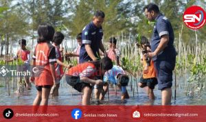 Peringati Hari Mangrove Sedunia, PT Timah Tanam Mangrove di Empat Wilayah