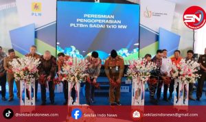 PLN Resmikan IPP PLTBm Sadai : Tambah Pasokan Listrik 10 MW