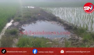 Menyedihkan, Jalan Produksi Sawah Metting Desa Rias Seperti Kubangan Kerbau, Pemda Harus Turun Tangan