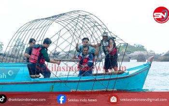 Jaga Keseimbangan Lingkungan, PT Timah Tenggelamkan 37 Unit Coral Garden di Pulau Putri 