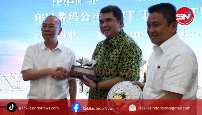 MIND ID Perkuat Posisi di Pasar Global, PT Timah dan Yunnan Tin Jalin Kerja Sama