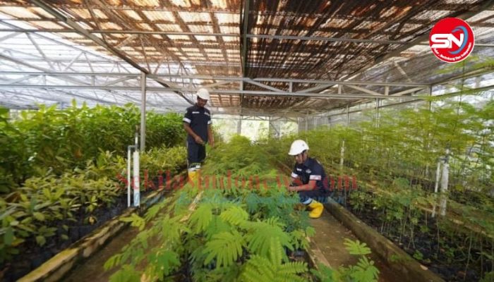 Menata Lahan Bekas Tambang dengan Konsisten Melakukan Reklamasi