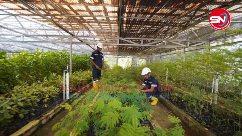 Reklamasi Lahan Pasca Tambang