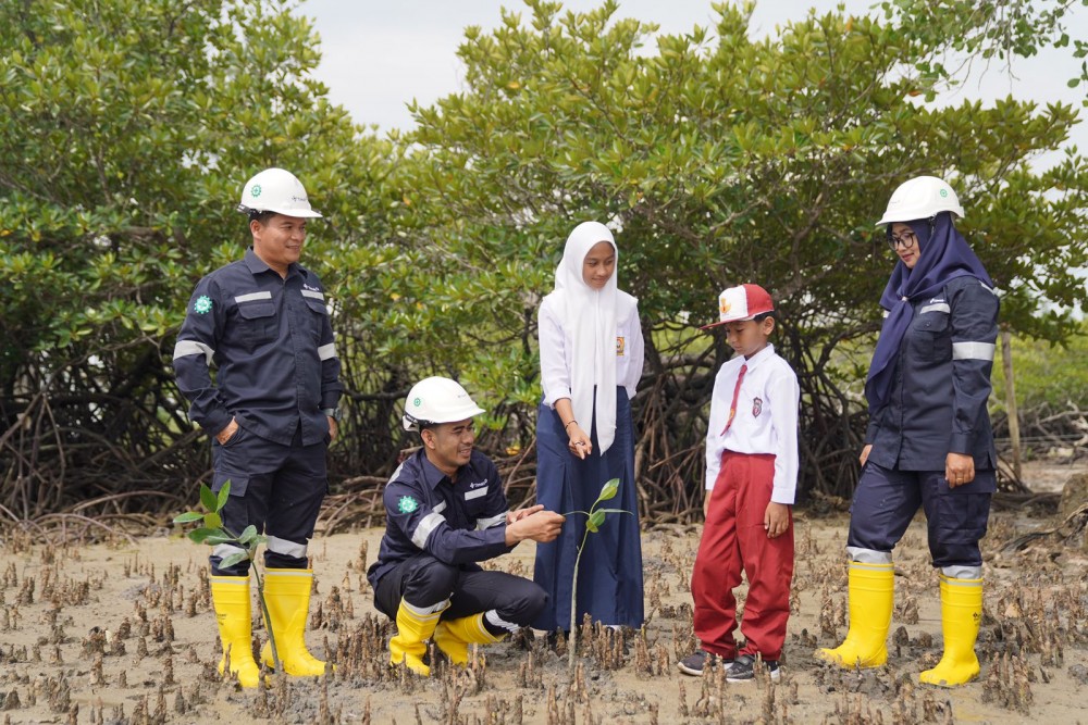 Program Penanaman Mangrove PT Timah