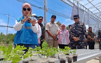 PLN Dukung Kemandirian Ekonomi Masyarakat Pesisir Melalui Program TJSL Desa Berdaya