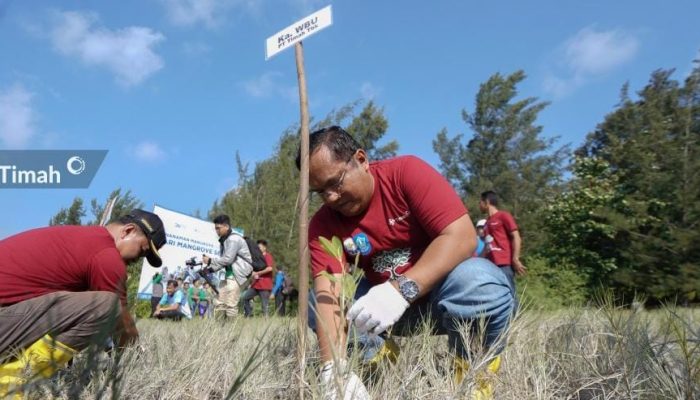 Kurangi Lahan Kritis di Babel, PT Timah Terus Galakkan Penanaman Pohon 