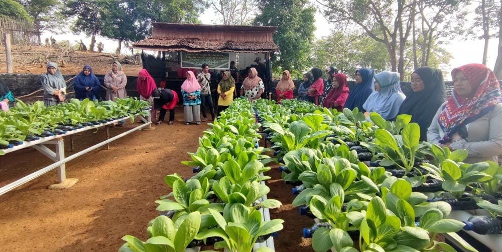 PT Timah mendukung Ketahanan pangan di wilayah operasional Perusahaan