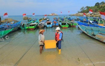 PT Timah Dorong Kemandirian Ekonomi Masyarakat melalui Program PPM