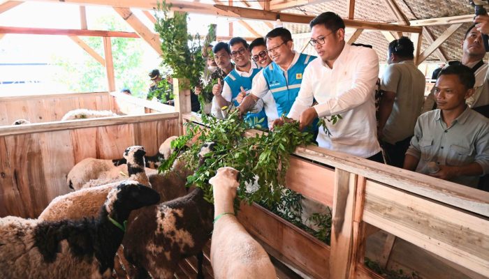 PLN Bersama Kementan Luncurkan Model Pertanian Terpadu