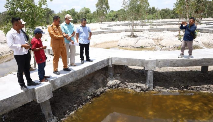 Budi Utama Tinjau Pembangunan Long Segmen dan Broadwalk di Kawasan Pasir Padi