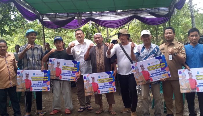 5 Kelompok Tani di Tua Tunu Dapat Bantuan Saprodi