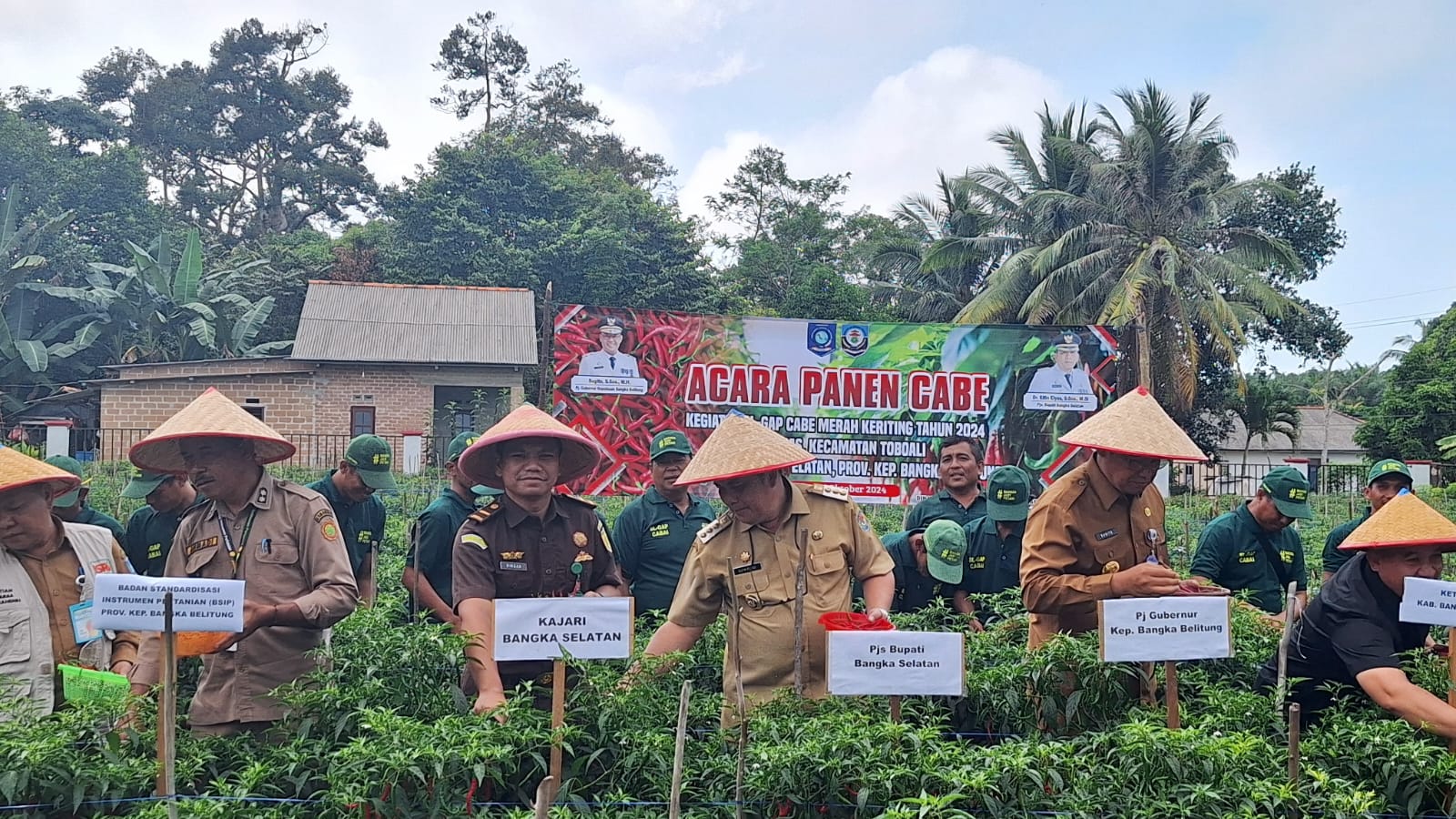 Pj Gubernur Babel Ingin Panen Cabe di BPP Rias Memicu Petani Optimalisasi Lahan