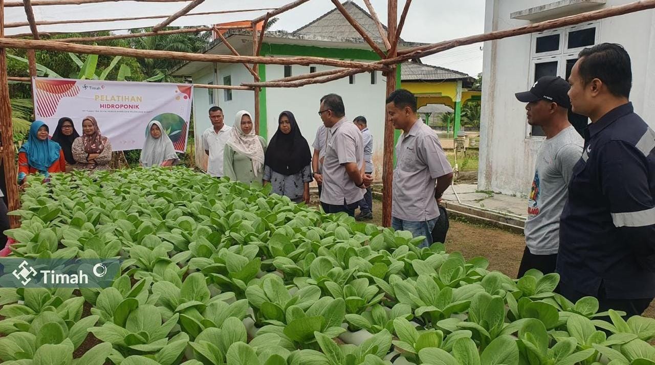 Dukung Ketahanan Pangan, PT Timah Gandeng Kelompok Lanjut Bestari Tanam Sayuran Hidroponik