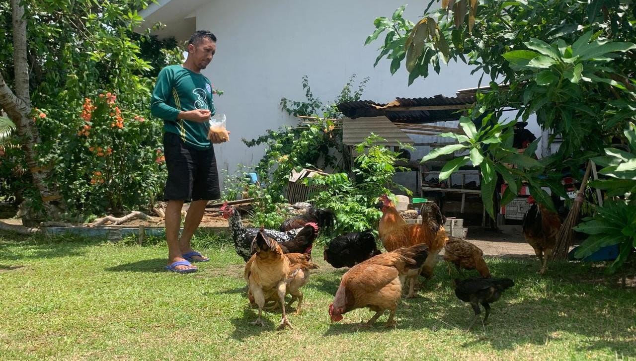 PT Timah Dukung Program Ketahanan Pangan, Imbau Karyawan Manfaatkan Pekarangan Rumah