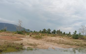 Tambang Timah Ilegal Hancurkan Hutan Produksi di Desa Tepus, Warga Sebut Milik Bos AT