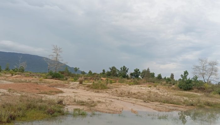 Tambang Timah Ilegal Hancurkan Hutan Produksi di Desa Tepus, Warga Sebut Milik Bos AT